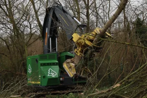 image Feller-buncher John Deere 803M