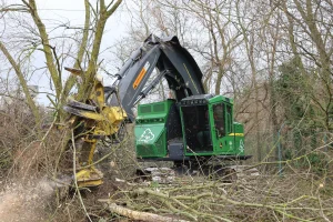 image Feller-buncher John Deere 803M