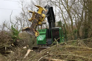 image Feller-buncher John Deere 803M