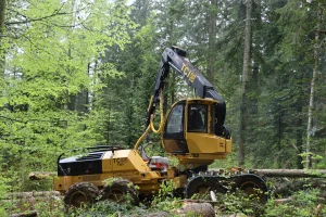 image abatteuse TCi (Tigercat) 1165