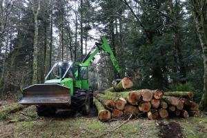 image Skidder Equus 240 4WD