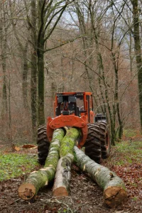 Image skidder FSK 4620