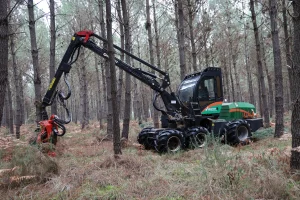 image Abatteuse Sogedep SH20