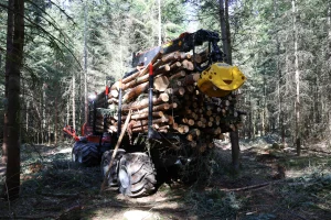 image Porteur Sampo FR28