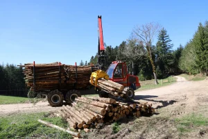image Porteur Sampo FR28