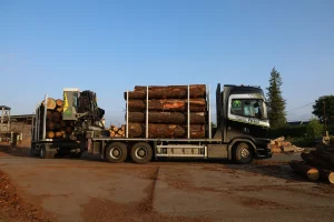 image Camion plateau + remorque Diebolt + grue Tajfun Liv + cabine