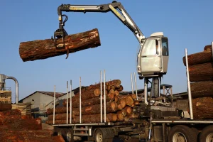 image Camion plateau + remorque Diebolt + grue Tajfun Liv + cabine