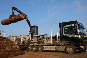 image Camion plateau + remorque Diebolt + grue Tajfun Liv + cabine