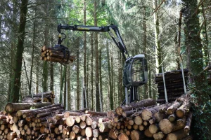 image Camion plateau + remorque Diebolt + grue Tajfun Liv + cabine