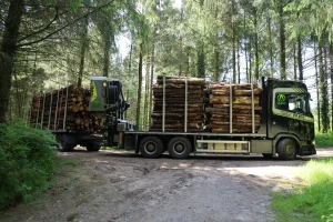 image Camion plateau + remorque Diebolt + grue Tajfun Liv + cabine