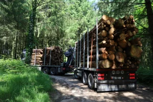 image Camion plateau + remorque Diebolt + grue Tajfun Liv + cabine