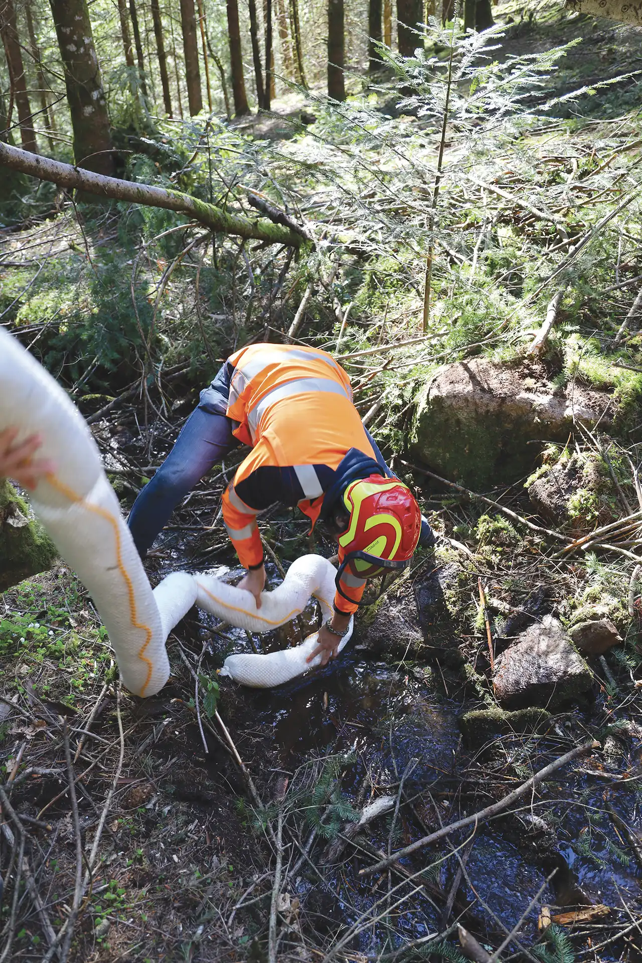 image Franchissement cours d'eau