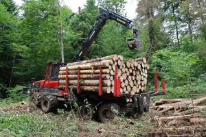 Image porteur Komatsu 875