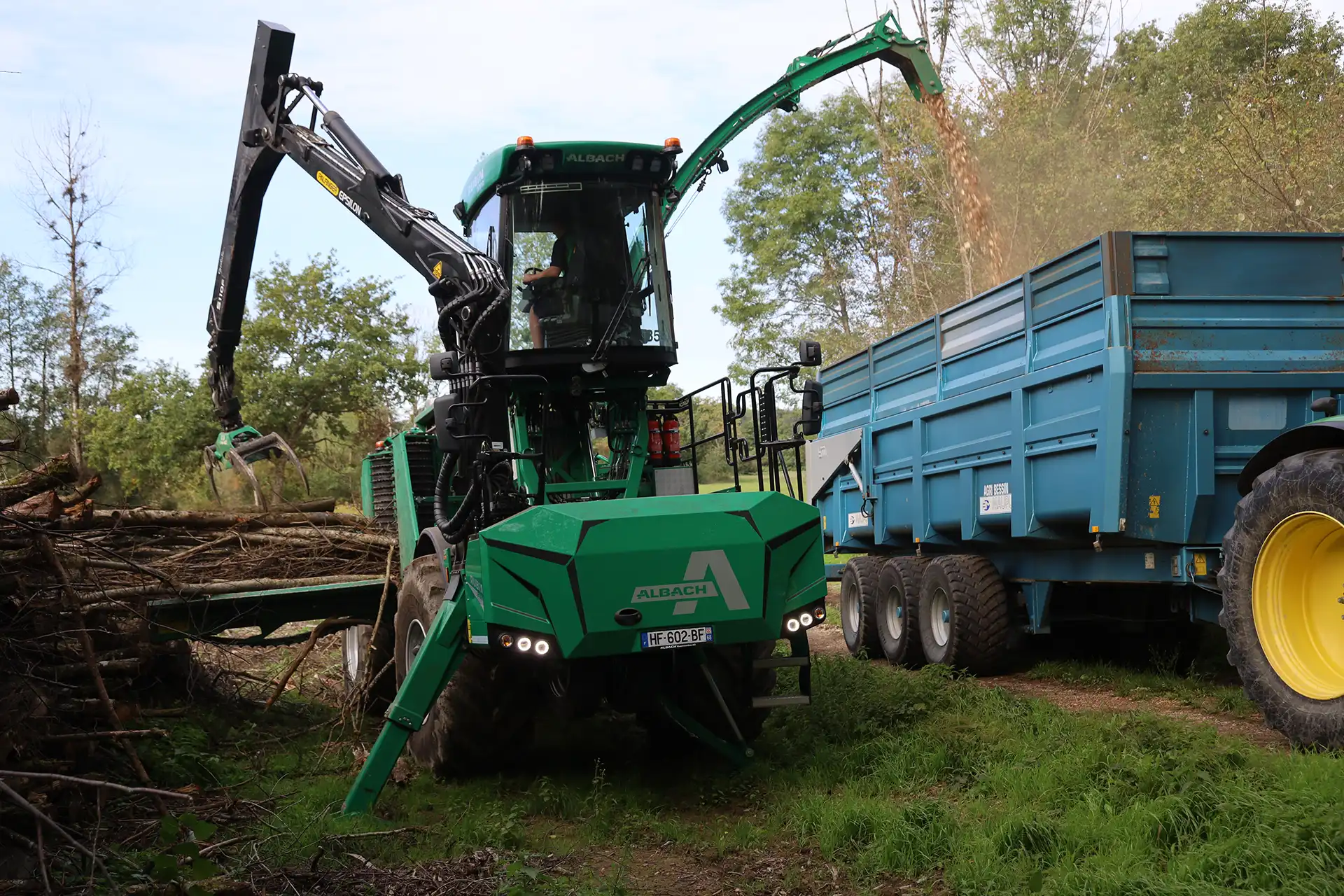 image Albach Rubin 2000