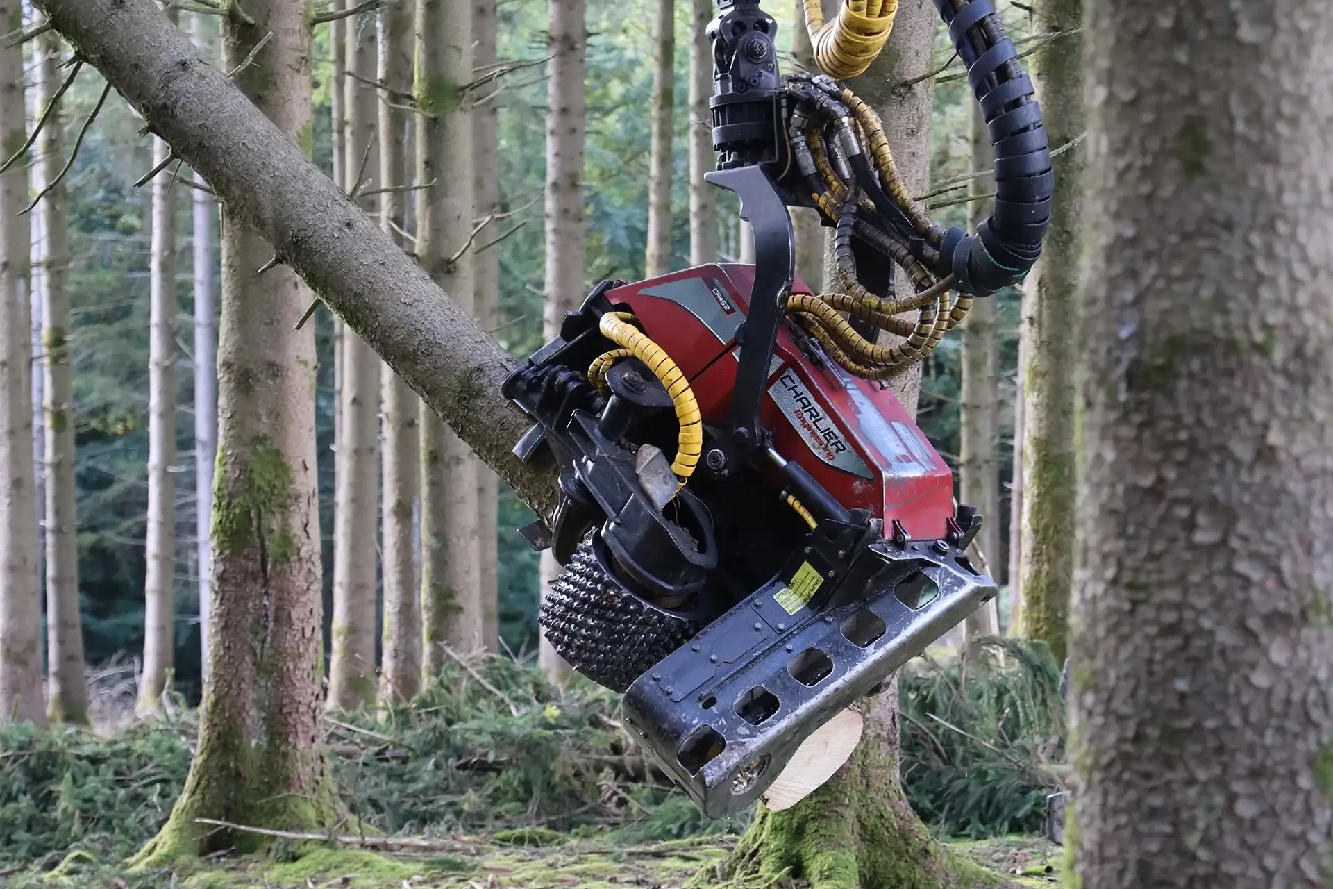 Image Tête d'abattage Charlier CA452