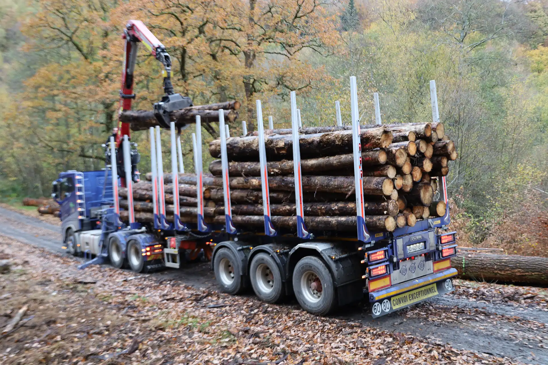 Image semi-remorque Doll Logo 15X