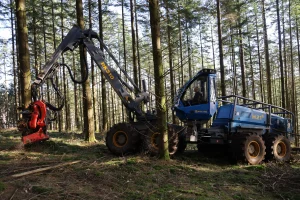 image Abatteuse Rottne H21E + Tête SP Maskiner 761LF