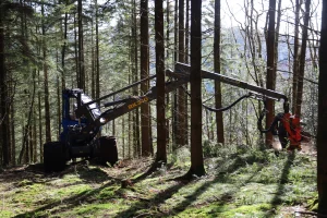 image Abatteuse Rottne H21E + Tête SP Maskiner 761LF