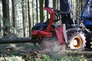 image Abatteuse Rottne H21E + Tête SP Maskiner 761LF