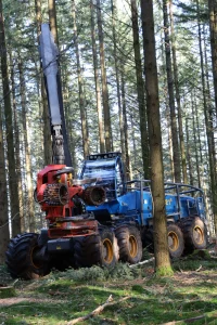 image Abatteuse Rottne H21E + Tête SP Maskiner 761LF