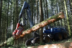 image Abatteuse Rottne H21E + Tête SP Maskiner 761LF