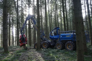 image Abatteuse Rottne H21E + Tête SP Maskiner 761LF