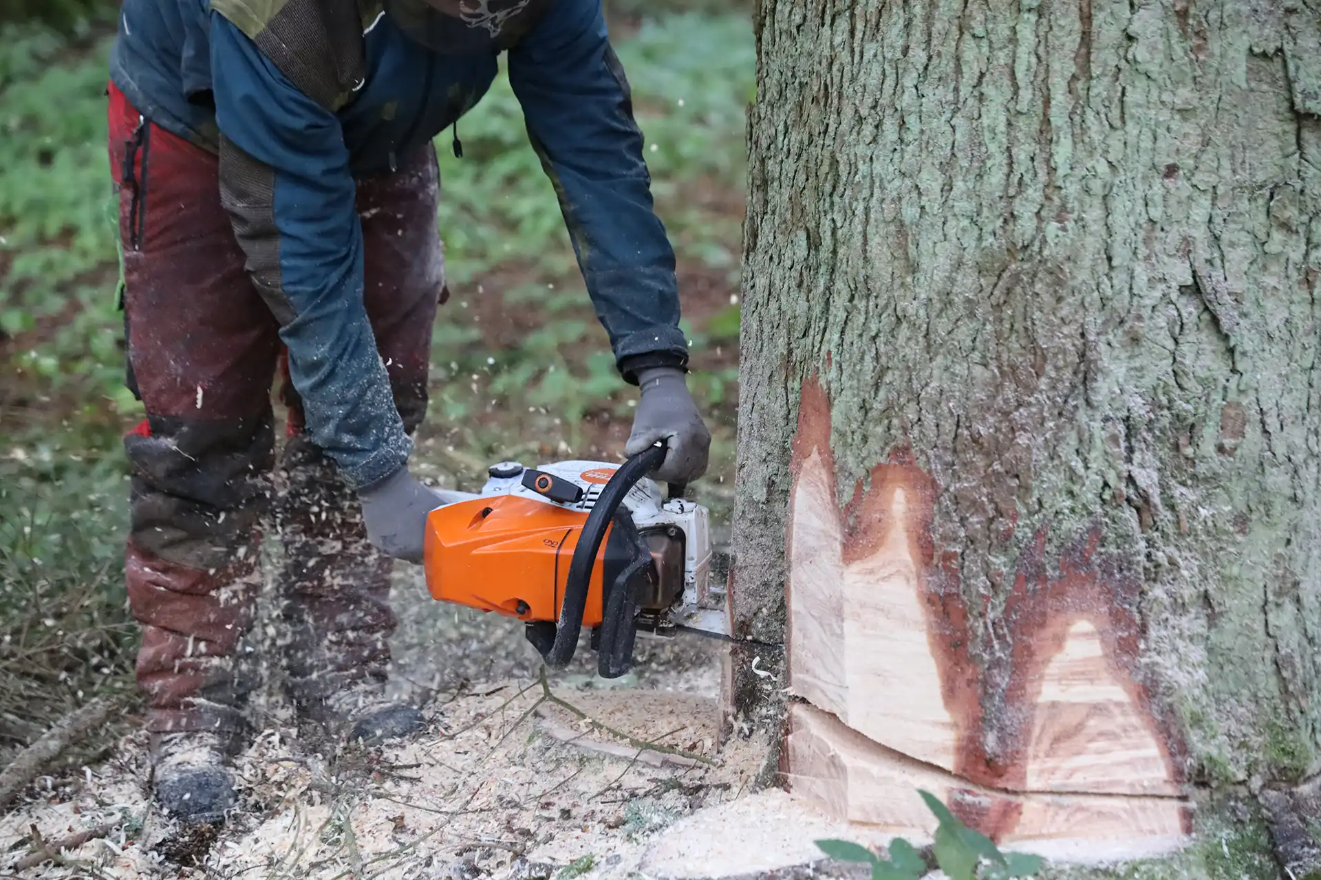 Image Stihl MS 400.1