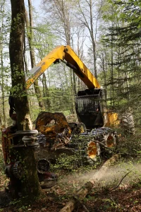 image Konrad Highlander HL20 + Woody 60