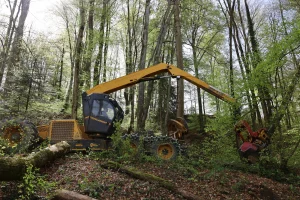 image Konrad Highlander HL20 + Woody 60